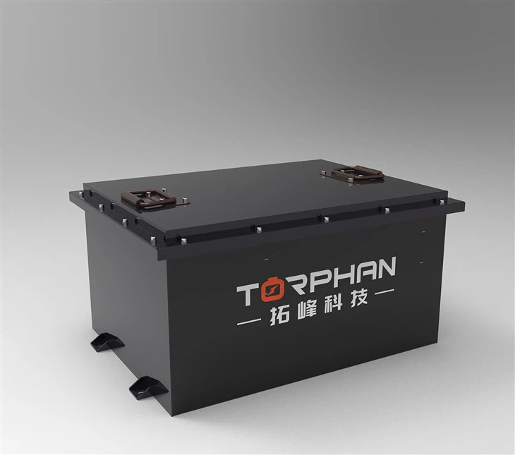 Ličio baterijos 48 V golfo krepšiui